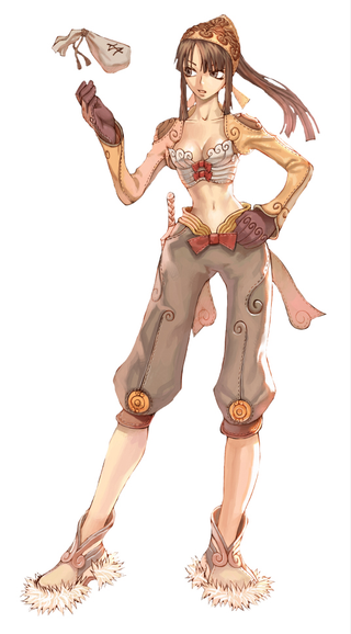 Illustration for article titled XSEED Bringing Ragnarok Online DS Stateside